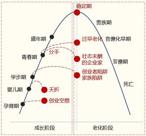 企业的一生 企业,创业者,稳定期