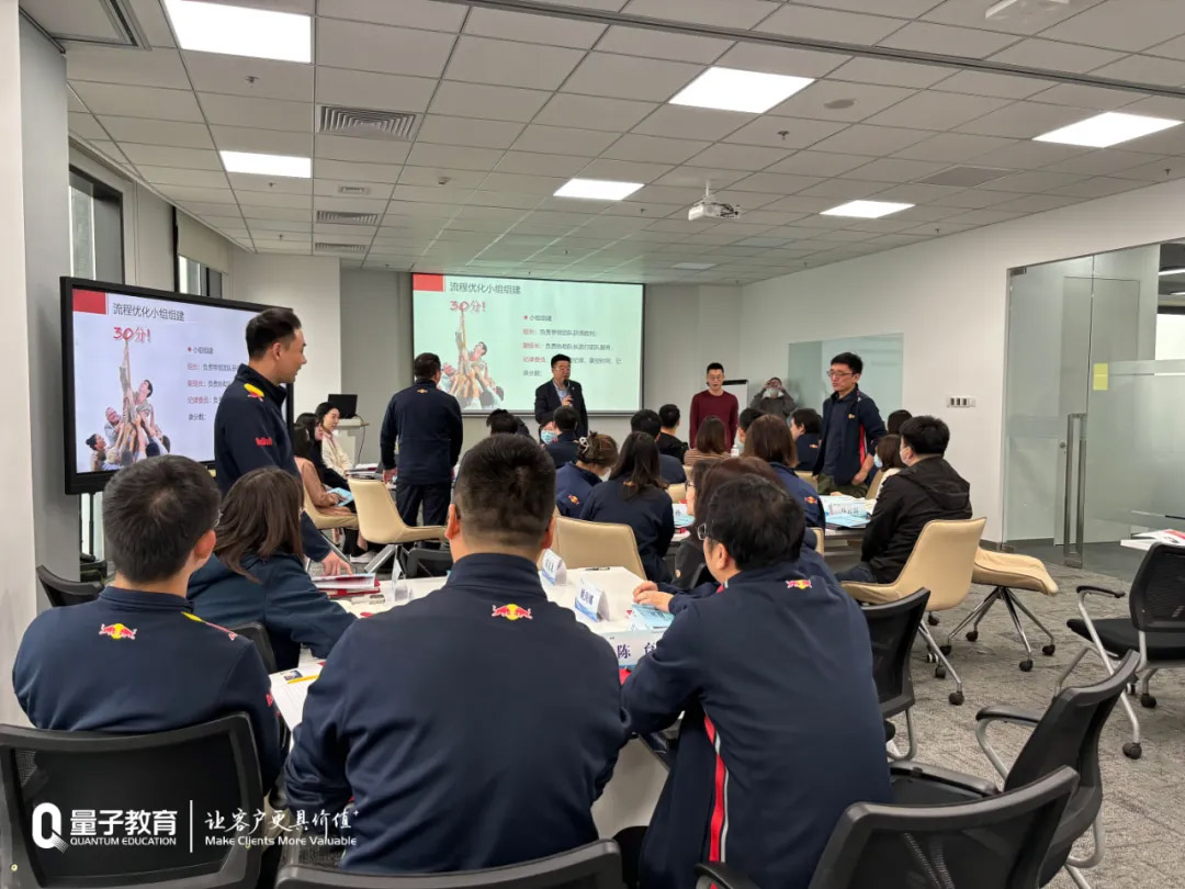 某国内优秀快消品企业-丁云峰-《sop流程优化》