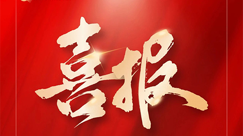 量子教育荣膺省级“专精特新”称号，引领教育科技新标杆!