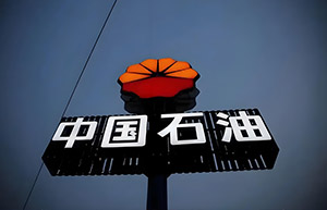政府国企,行业培训案例